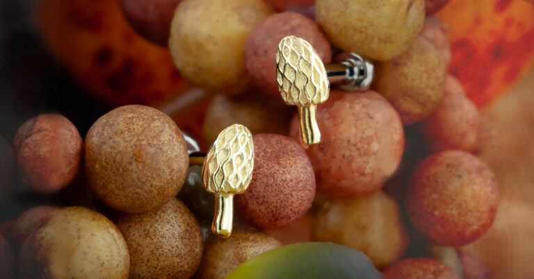 2026 Autumn Enchantment Selection