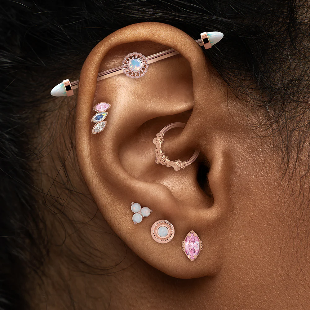 HP Favorite Collections Rosefire