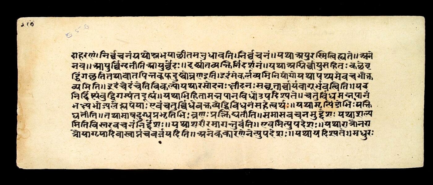 Page of text from the Susrutasamhita Wellcome L0034908