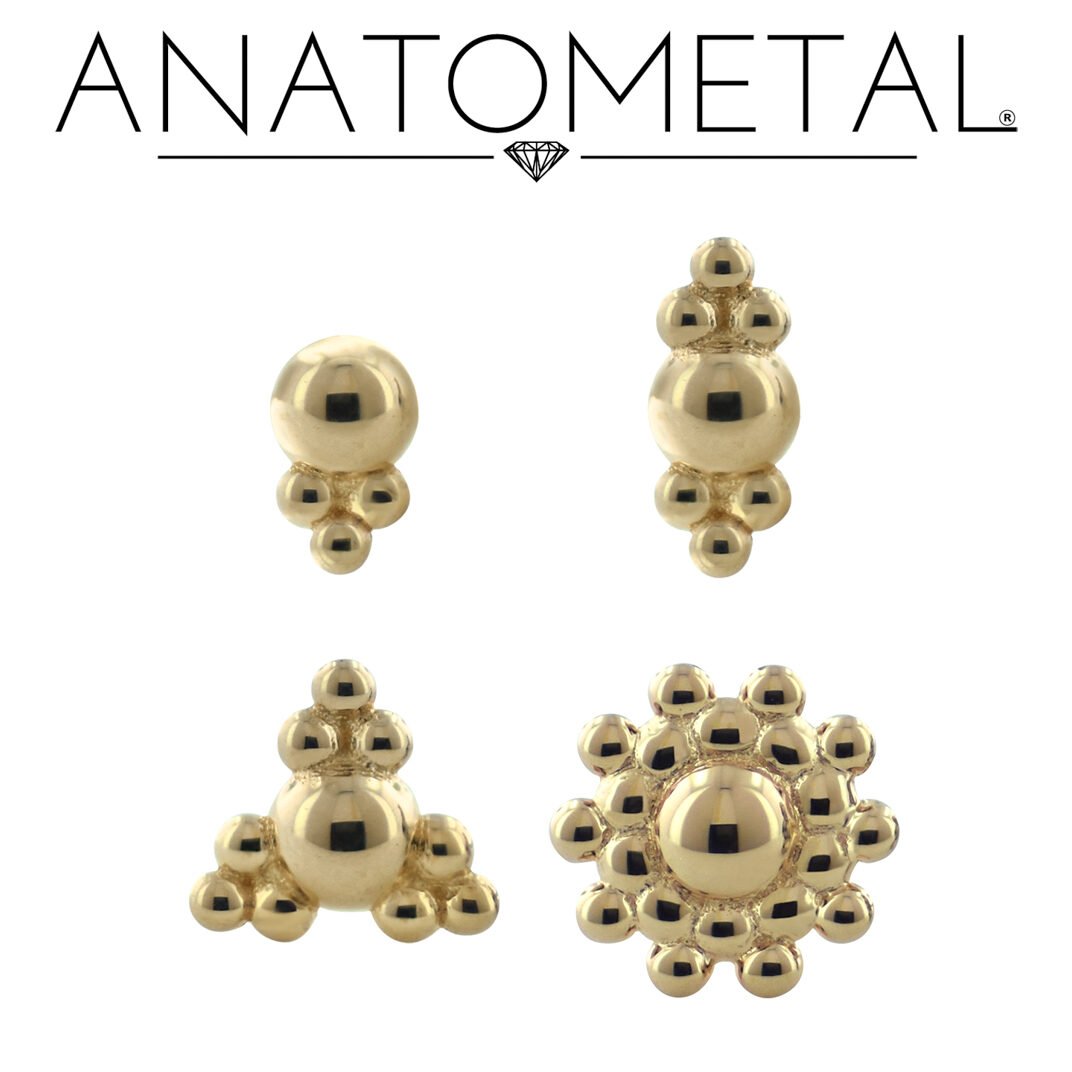 Anatometal Destin Ends News