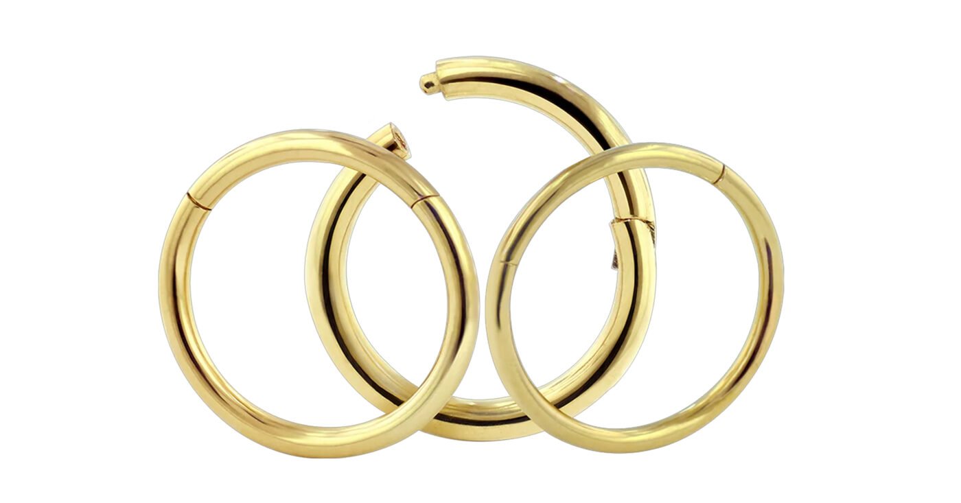 ボディピアスジュエリー:クリッカー入門 2 Blog Clicker Ring 01