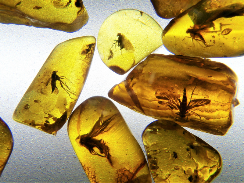 blog organic materials 5