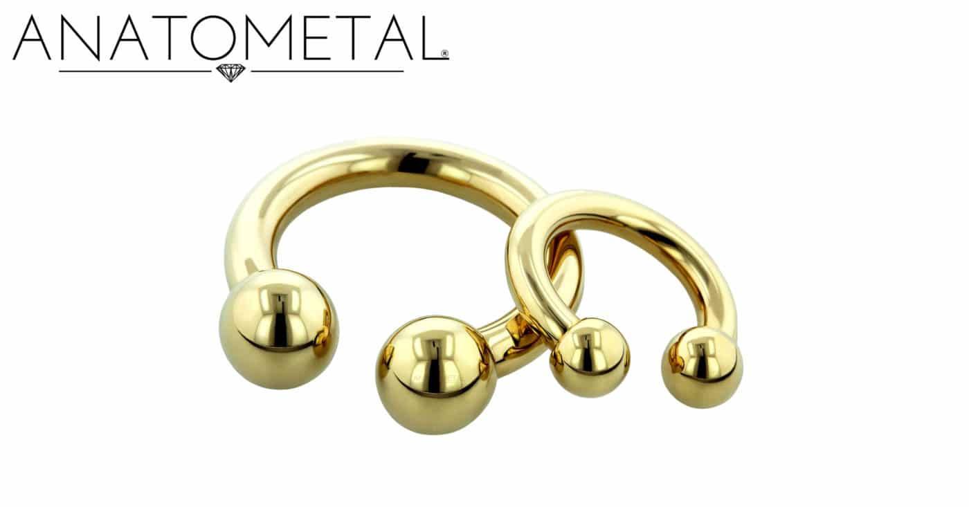 ボディピアスジュエリー:バーベル入門 9 circular barbells 3