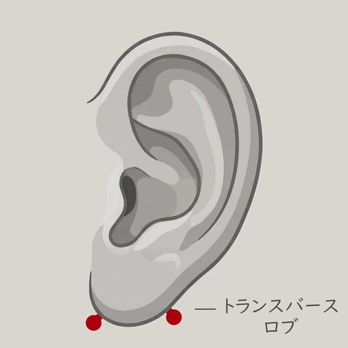トランスバースロブ ピアッシング
