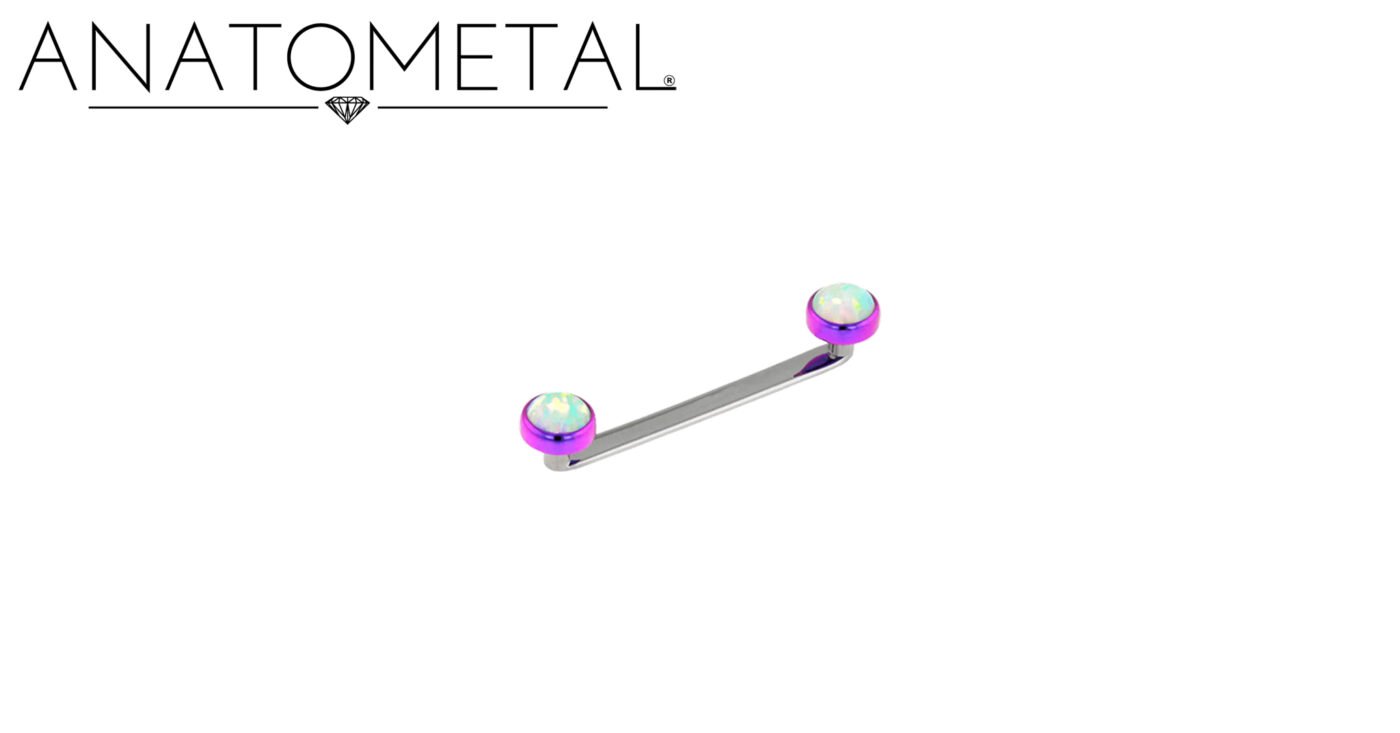 ボディピアスジュエリー:バーベル入門 4 Flat Surface Barbell Shafts