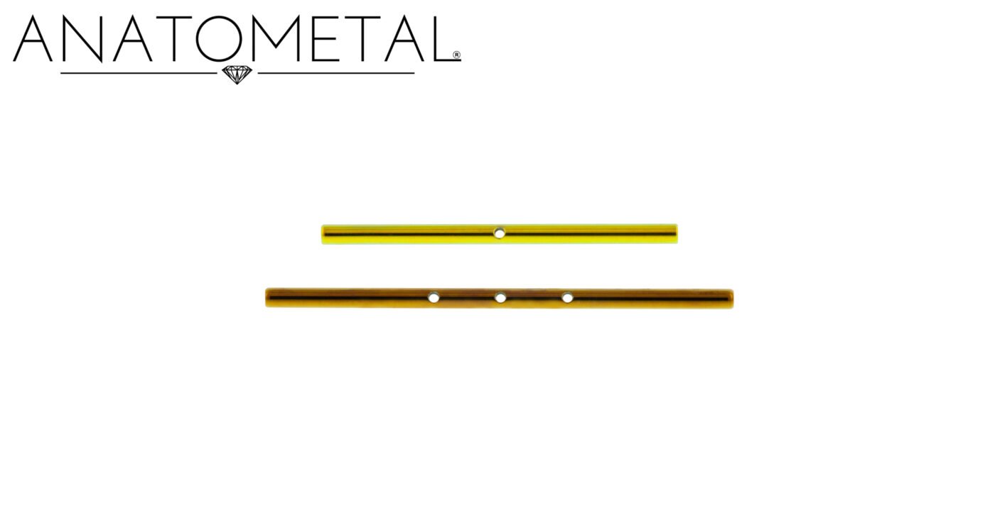 ネジ式 ジェムインダストリアルバー_9