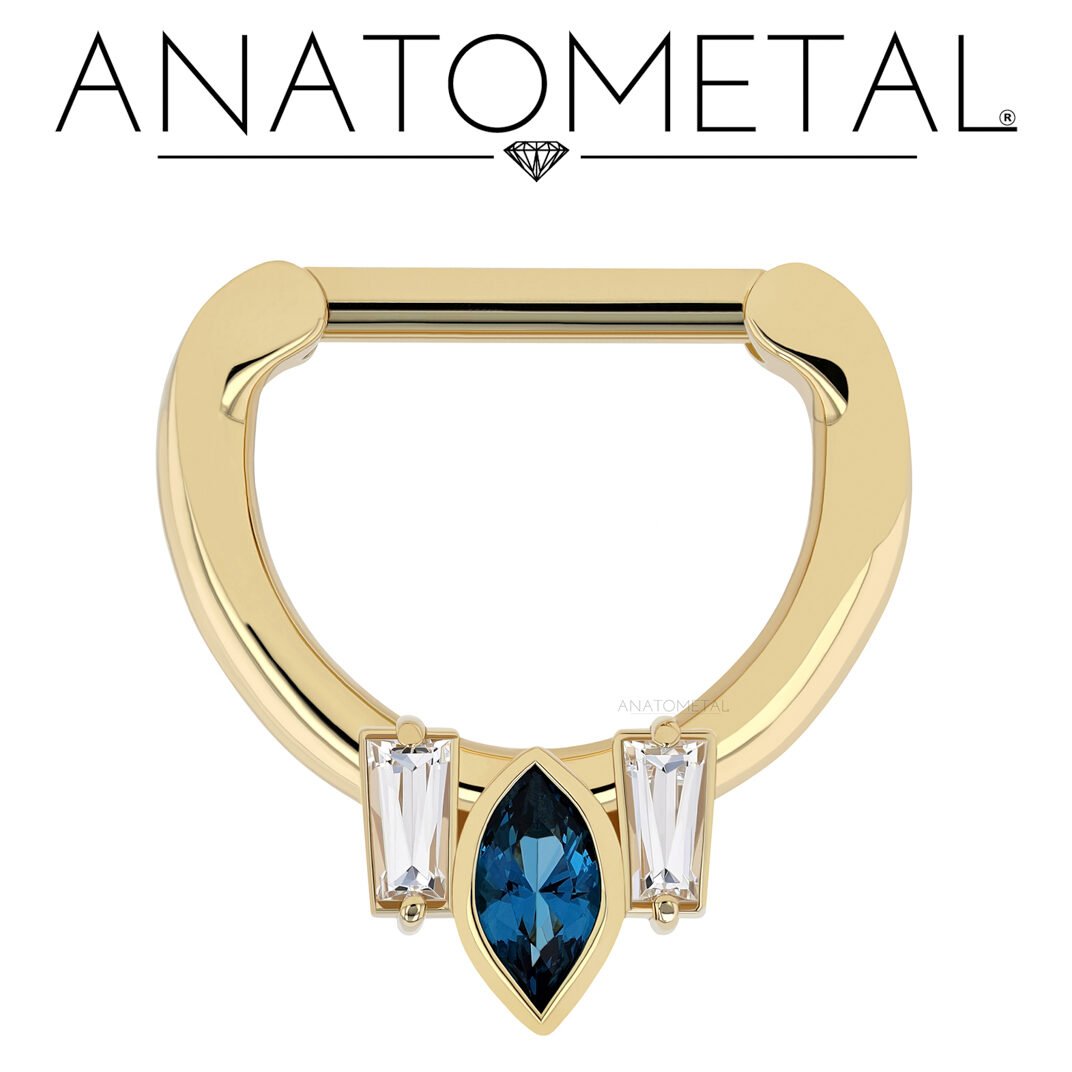 ボディピアスジュエリー:クリッカー入門 3 Indio Hinge Ring