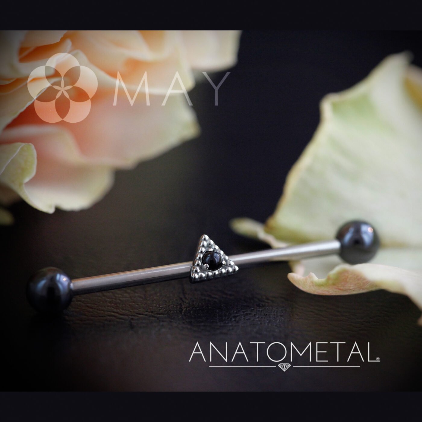 サイズ選びの基本:長さと内径 8 トリストエンド