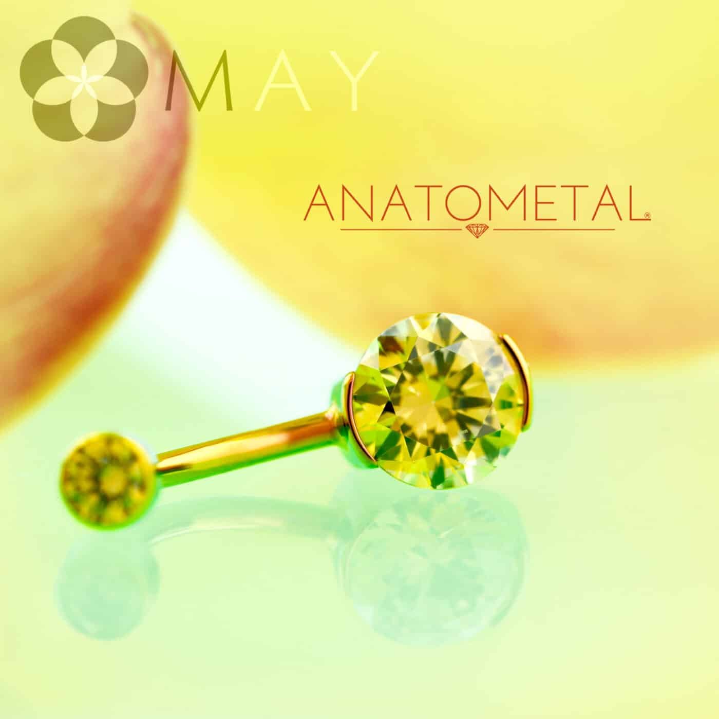 パーシャルベゼルナベルカーブ