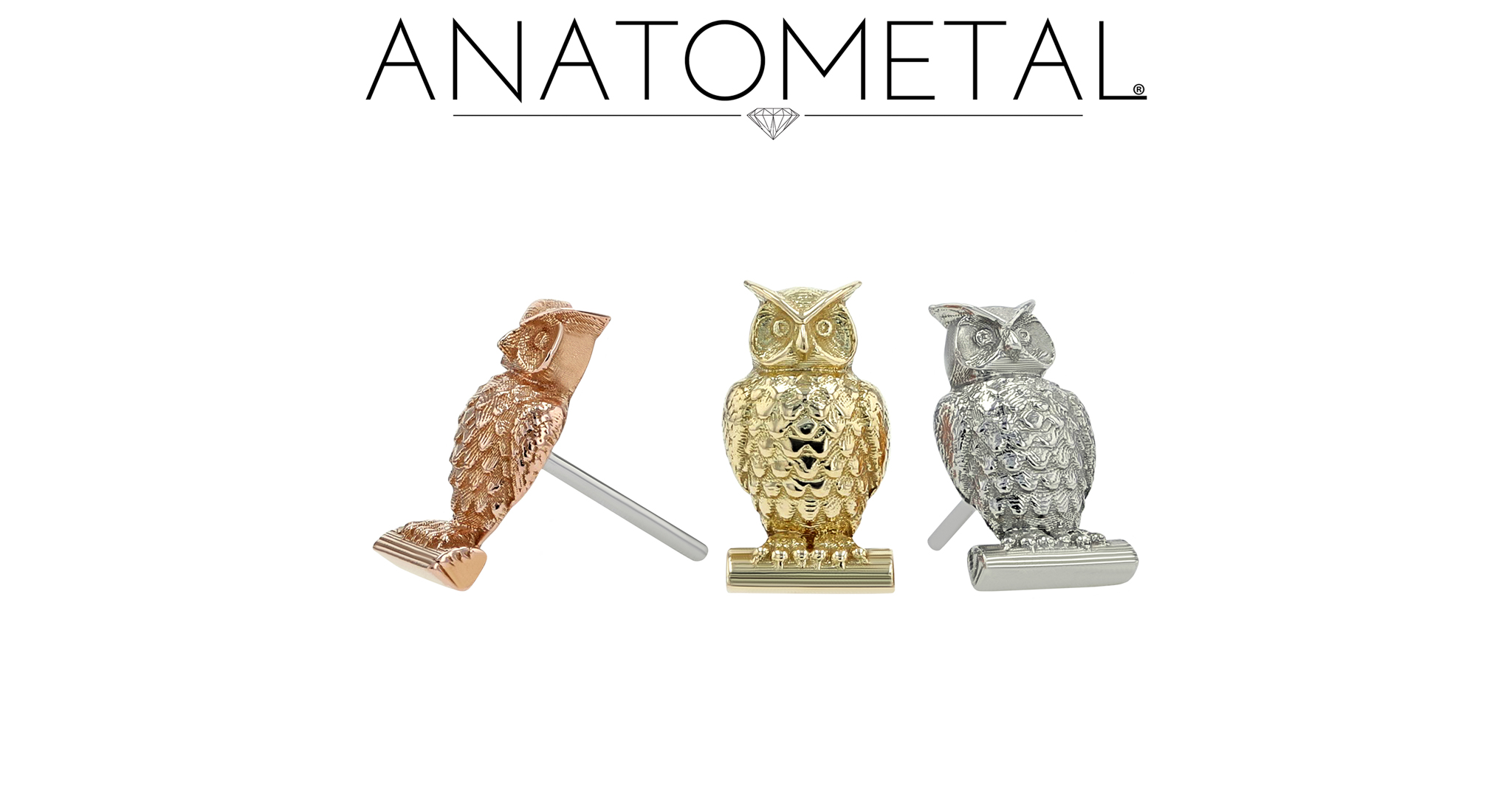 owl ends