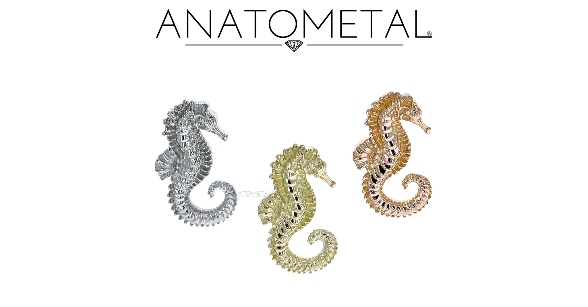 Seahorse Ends